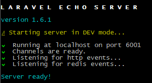 laravel-echo-server start